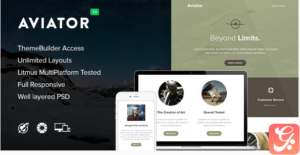 Aviator - Responsive Email + Themebuilder Access