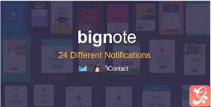Bignote - 24 Unique Responsive Email Notification set + Online Access