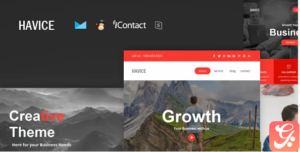 Havice Mail - Responsive E-mail Template + Online Access