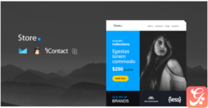 Store Mail - Responsive E-mail Template + Online Access