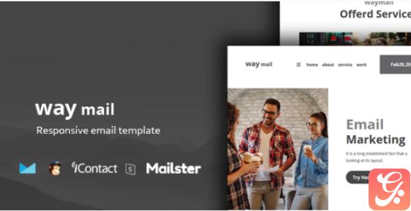 Way Mail 30 Modules Online Access Mailster MailChimp