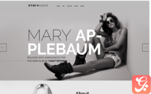 Stargaze - Media & Celebrity Responsive WordPress Theme