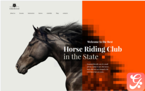 Elite Breed - Equestrian & Horse Riding Club WordPress Theme
