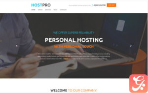 HostPro WordPress Theme