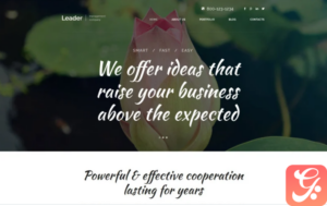 Leader WordPress Theme