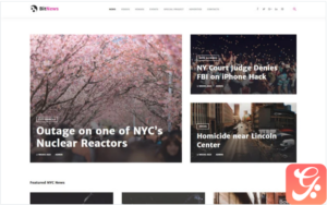 BitNews - Blog Magazine & News Portal WordPress Theme