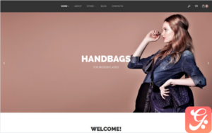 Handbags WooCommerce Theme