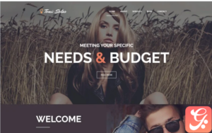 Tomi Solas WordPress Theme