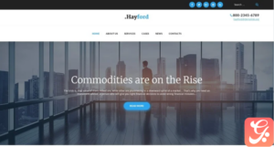 Hayford - Investment Consulting Services Responsive WordPress Theme