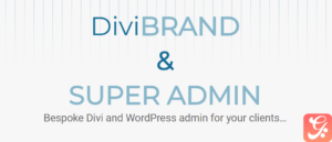 Divi Brand & Super Admin 1.2