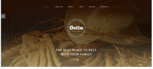 Ostin Joomla Template