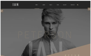 Ian Peterson Joomla Template