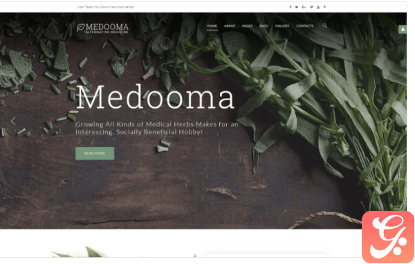 Medooma Alternative Medicine Joomla Template