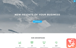 Proconsult Joomla Template
