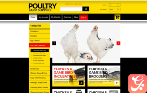 Chicken Farming Magento Theme
