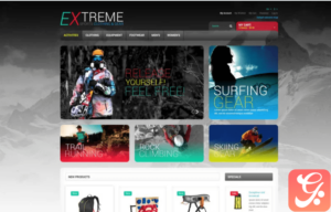 Effective Online Store Magento Theme