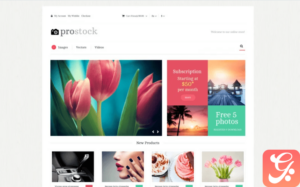 Online Portfolio Magento Theme