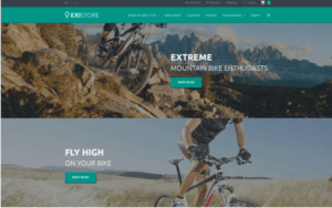 Existore Magento Theme