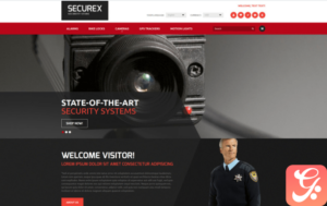 Security Products Store Magento Theme