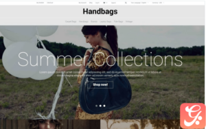 Handbag Responsive Magento Theme
