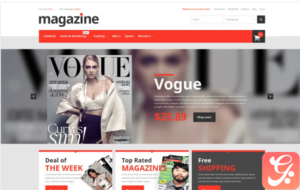Magazine Store Magento Theme