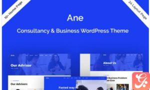 Ane-Business & Consulting WordPress Theme