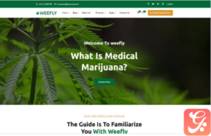 Weefly | Medical Cannabis & Marijuana WordPress Theme
