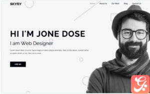 Skyflypro - Portfolio WordPress Theme