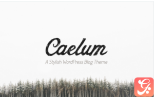 Caelum - Minimalistic WordPress Theme