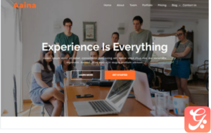 Aaina - One Page Parallax WordPress Theme