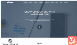 Kinger - Personal Business Portfolio Landing