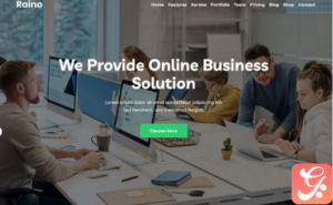 Raino - Digital Agency One page WordPress Theme