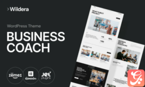 Wildera - clean business WordPress Theme