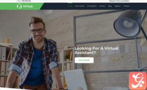 Virtua - Virtual Assistant WordPress Theme