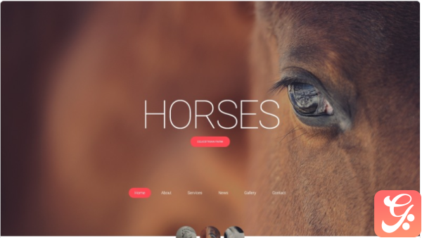Horses Horse Responsive Creative HTML Website Template 1