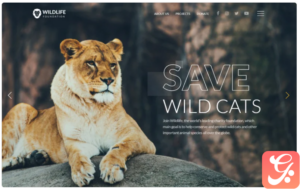 WildLife - Wild Life Multipage Creative HTML Website Template 1.0