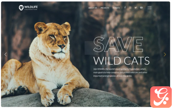 WildLife Wild Life Multipage Creative HTML Website Template
