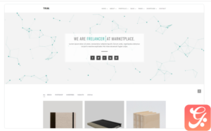 Trim Minimal Portfolio Website Template 1.0
