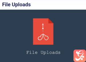 User Registration File Upload 1.3.13