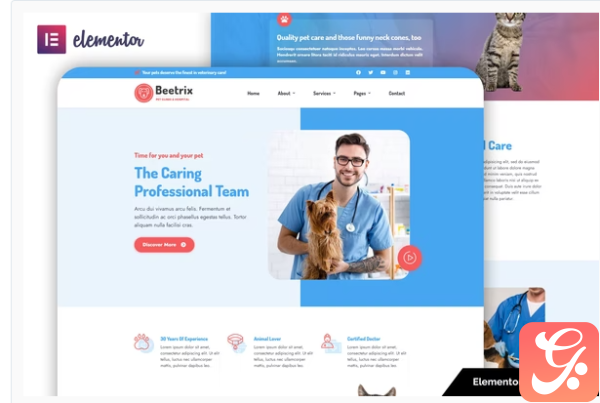 Beetrix Pet Clinic Hospital Elementor Template Kit