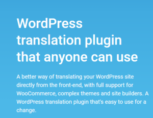 TranslatePress (Business) + Addon 2.4.7 & 1.2.4