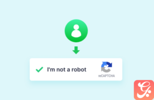Directorist – Google reCAPTCHA