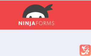 Ninja Forms – Hubspot Integration