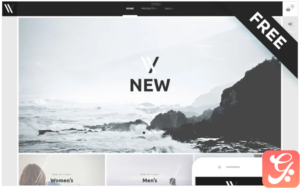 Styler - Apparel E-Commerce Stylish Shopify Theme
