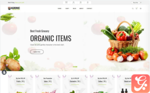 Agronic – Organic Shop Shopify Theme