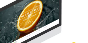 Citrus one page parallax Shopify Theme 1.0