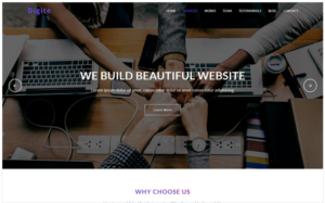 Digite - Digital Agency Landing Page Template