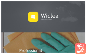 Window Cleaning Responsive Newsletter Template