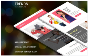 Trends - Responsive Newsletter Template