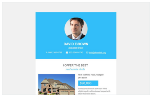 Real Estate Agency Responsive Newsletter Template